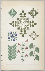 De kunst van decoratief ontwerp: met een bijlage, waarin de uren van de dag worden gegeven waarop bloemen opengaan, uitgegeven door Day & Son, Londen, 1862