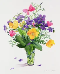 Klaprozen en geraniums