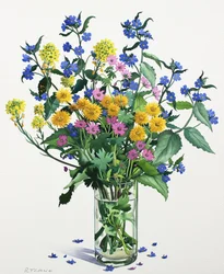 Wilde Bloemen met Alkanet