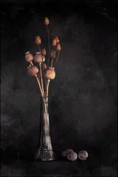 Donker botanisch stilleven