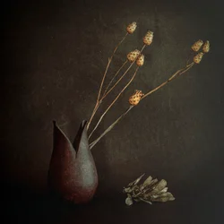 Donkere rustieke botanicals