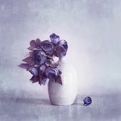 Fijne paarse bloemen