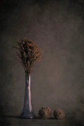 Stilleven met gedroogde planten