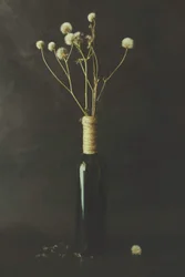 Fles met gedroogde paardenbloem