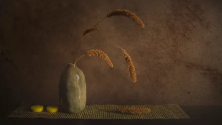 Minimalistisch botanisch stilleven