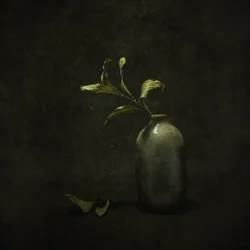 Sfeervol botanisch stilleven