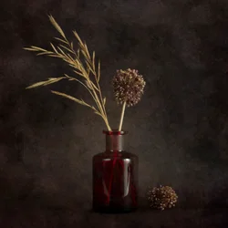 Sfeervolle gedroogde planten