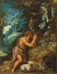 Johannes in de wildernis
