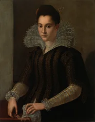 Zweeds: Porträtt av dam Portret van een dame