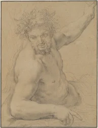 Faun liggend