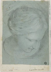 Gebeeldhouwd vrouwenhoofd