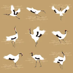 Oosterse kraanvogels