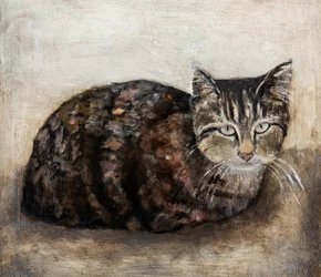 Nieuwsgierige tabbykat