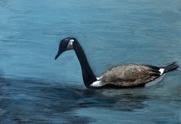 Gans op rustig water