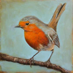 Vredige roodborst