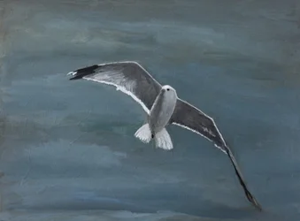 Een zeemeeuw die boven het water zweeft