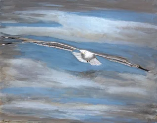 De serene vlucht van de zeemeeuw
