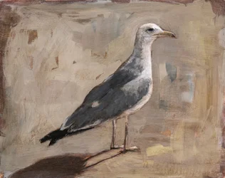 Portret van een staande zeemeeuw