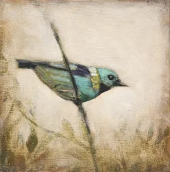 Levendige blauwgroene vogel