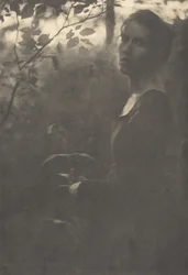 Rand van het bos, avond, 1900