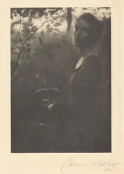 Rand van het bos, 