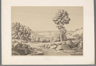 Landschap met weg