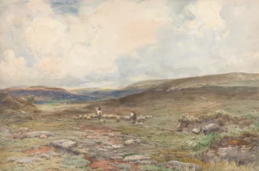 Heidelandschap met schapen en herder