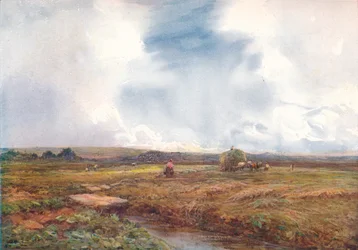 Het hooiveld, 1872-1906, 1906