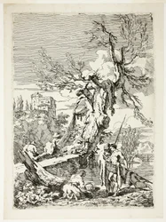 De terugkeer van vissen