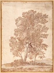 Drie bomen