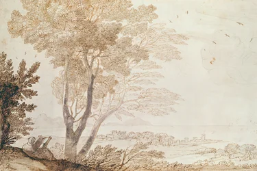 Landschap