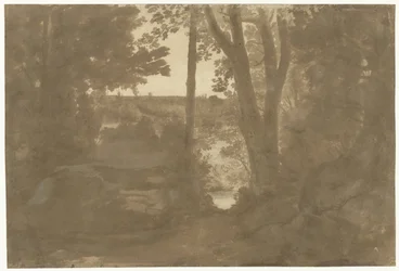 Landschap met doorkijk door bomen