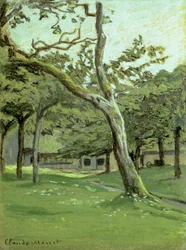 Een boomgaard