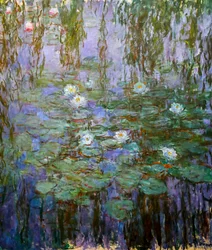 Blauwe waterlelies (detail)