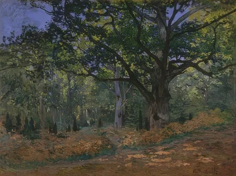 Bodmer eik in het bos van Fontainebleau