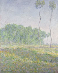 Landschap in de lente