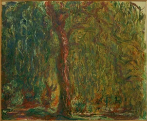 De Treurwilg