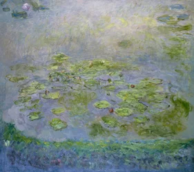De waterlelies