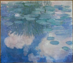 Waterlelies