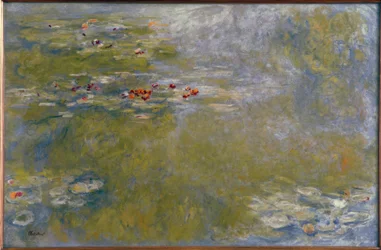 Waterlelies