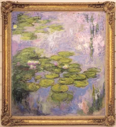Waterlelies