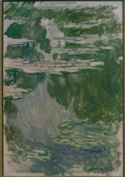 Waterlelies Studie