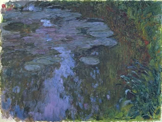 Nymphaea