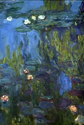 Nymphaea, 1914-17