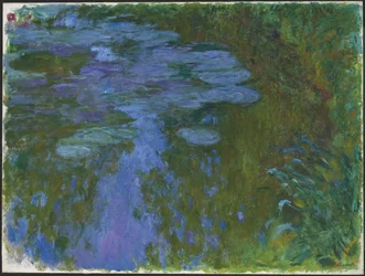 Nymphaea, ca. 1914-1917