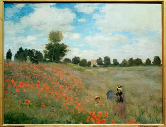 Klaprozen, nabij Argenteuil