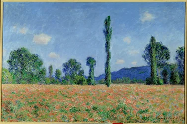 Klaprozenveld, 1890