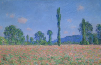 Klaprozenveld (Giverny)
