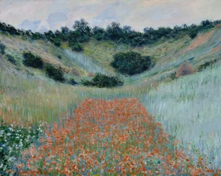 Klaprozenveld in een laagte bij Giverny