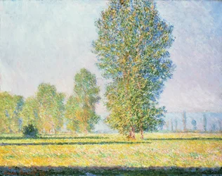 De Weide van Limetz